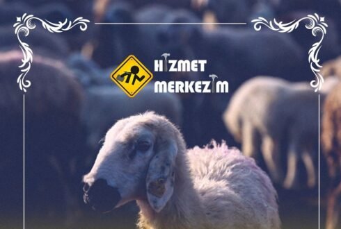 Kurban Bayramında Çeçen Kardeşlerimizleydik